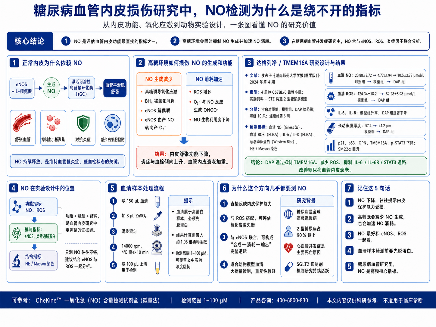 糖尿病血管内皮损伤研究中，一氧化氮(NO)含量检测为什么是绕不开的指标