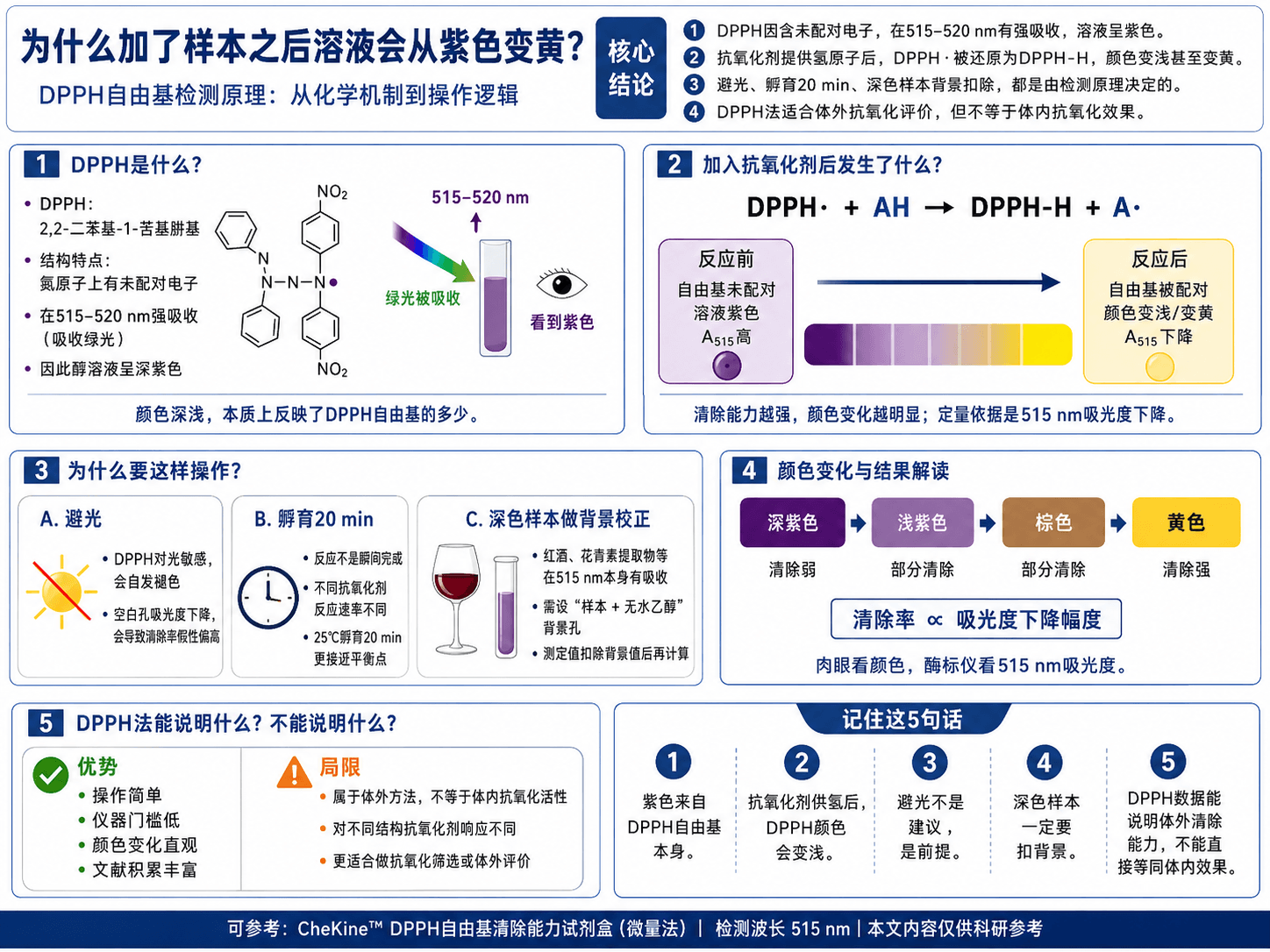 为什么加了样本之后溶液会从紫色变黄？——DPPH自由基检测原理，从化学到操作逻辑
