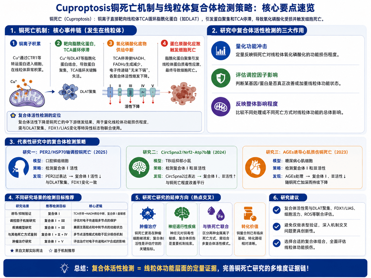 Cuproptosis铜死亡机制解析：线粒体呼吸链复合体在铜死亡研究中的角色与检测策略