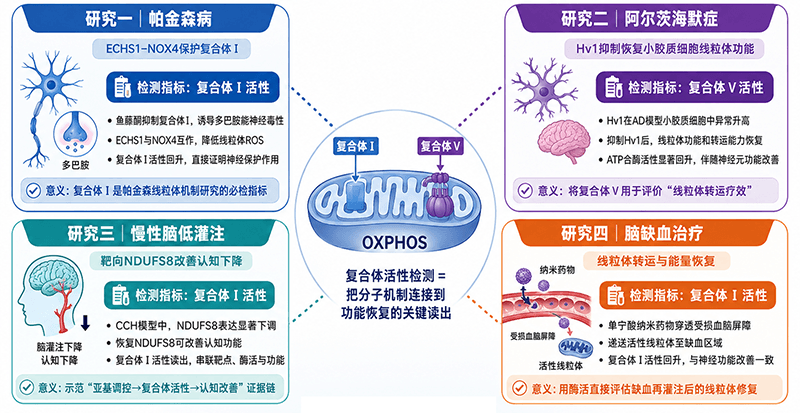 神经退行性疾病方向