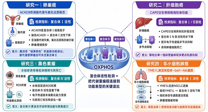 肿瘤代谢重编程方向