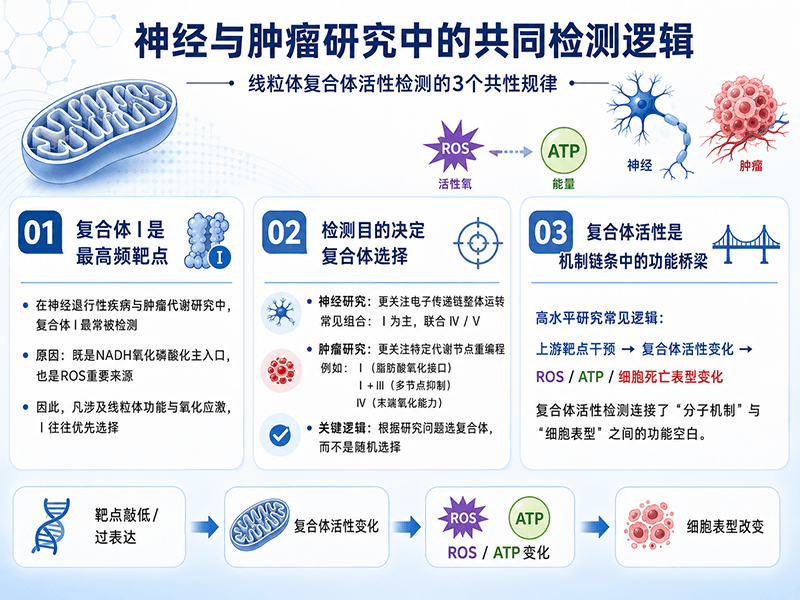神经与肿瘤研究中的共同检测逻辑