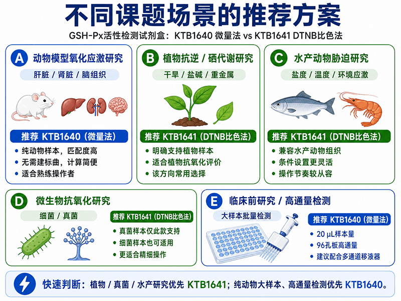 不同课题场景的推荐方案
