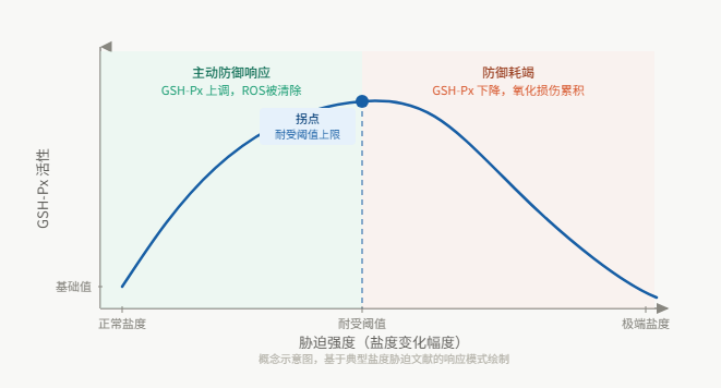 胁迫强度（盐度变化幅度）