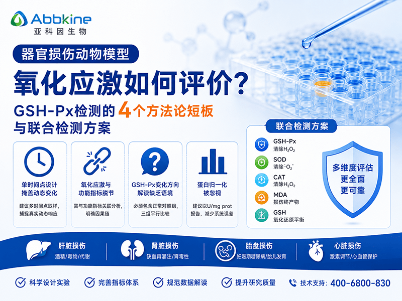 器官损伤动物模型氧化应激如何评价？谷胱甘肽过氧化物酶GSH-Px检测的4个方法论短板与联合检测方案
