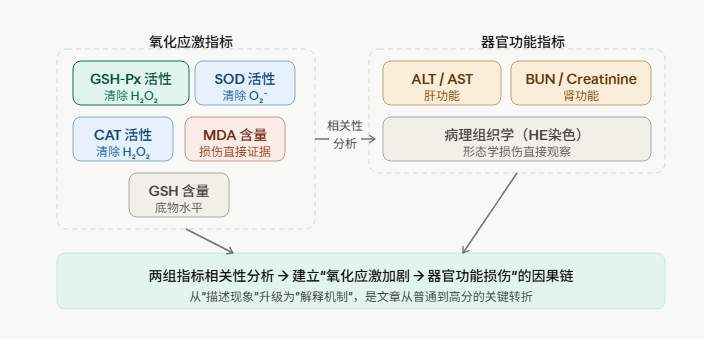 酒精损伤研究的指标选择逻辑