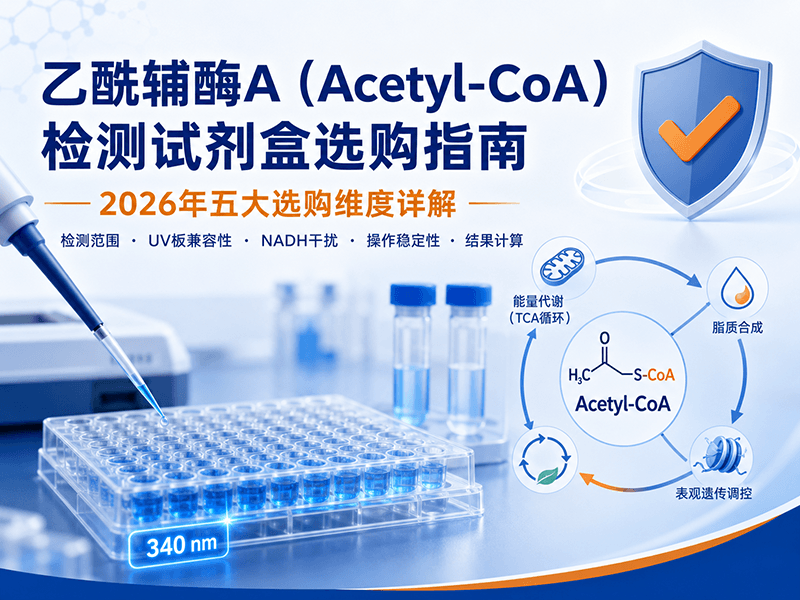 乙酰辅酶A检测试剂盒选购指南：2026年选对Acetyl-CoA检测试剂盒的五大核心维度