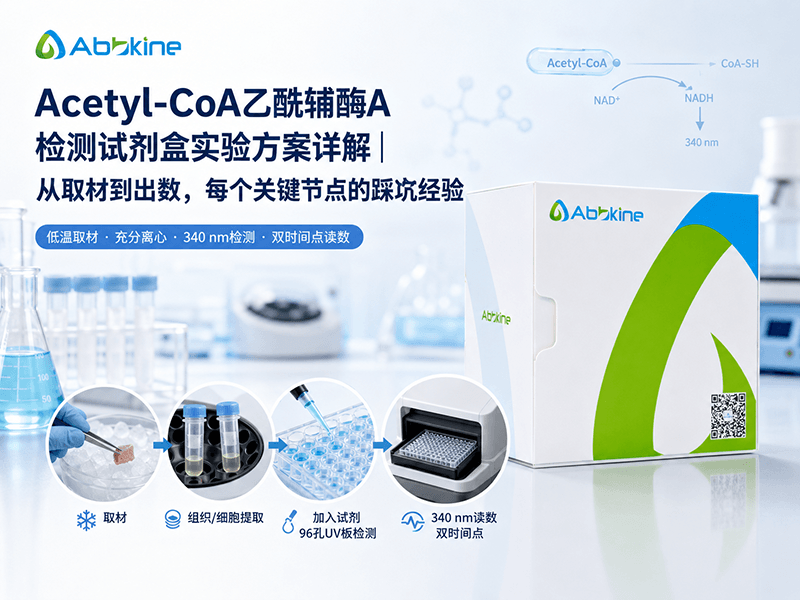 Acetyl-CoA乙酰辅酶A检测试剂盒实验方案详解｜从取材到出数，每个关键节点的踩坑经验
