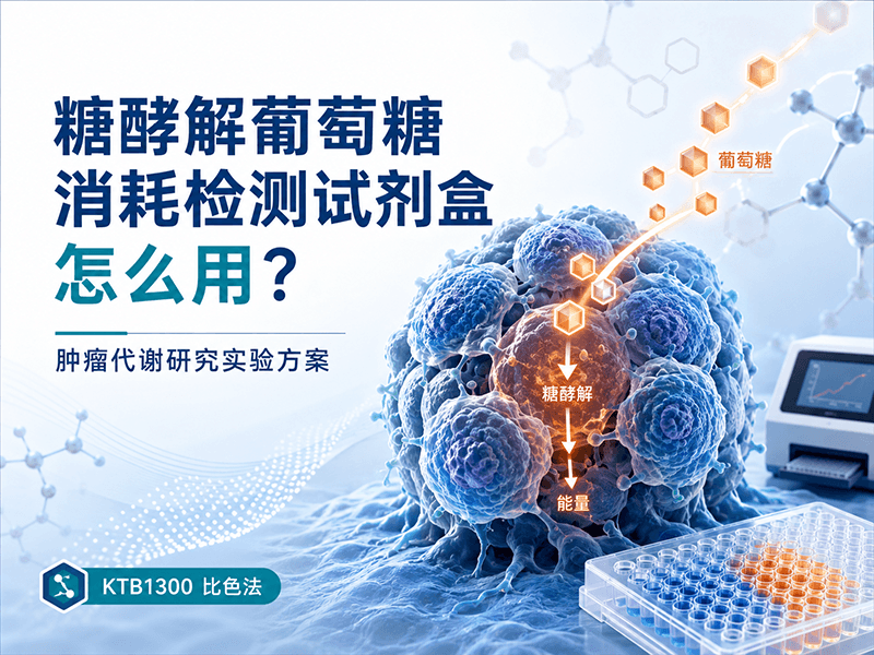 糖酵解葡萄糖消耗检测试剂盒怎么用？肿瘤代谢研究实验方案