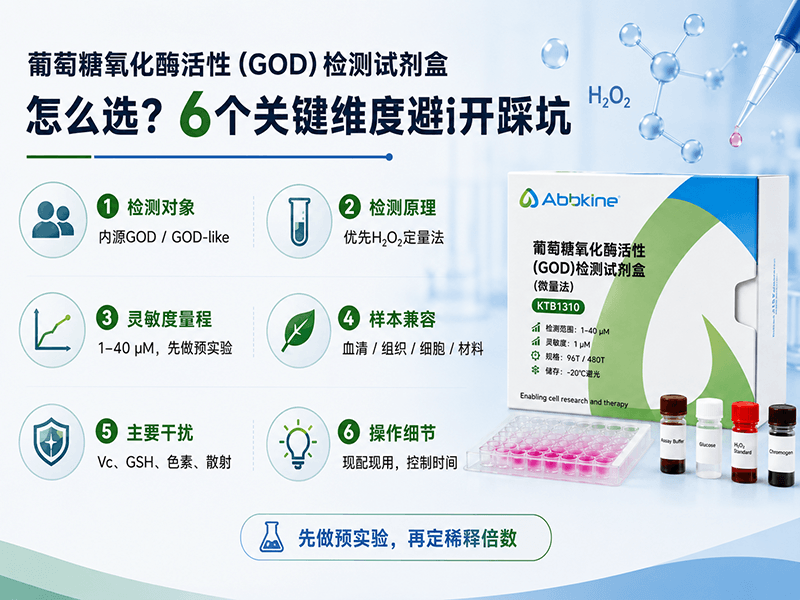 葡萄糖氧化酶活性检测GOD试剂盒怎么选？6个关键维度避开踩坑