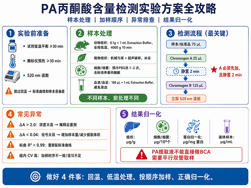 PA丙酮酸含量检测实验方案全攻略：从样本处理到结果归一化