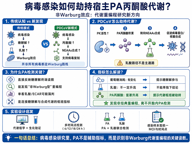 病毒感染如何劫持宿主PA丙酮酸代谢？从