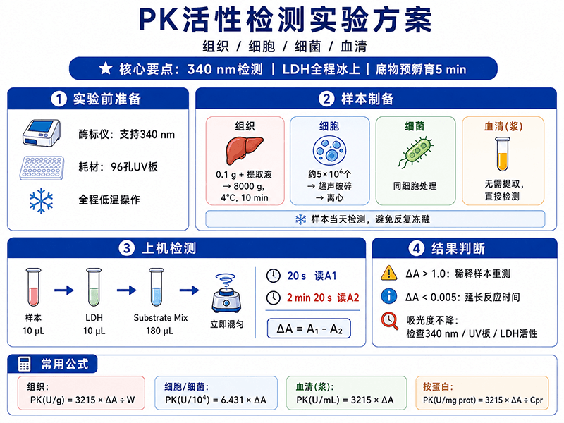 PK丙酮酸激酶活性检测实验方案：组织、细胞、细菌、血清全流程