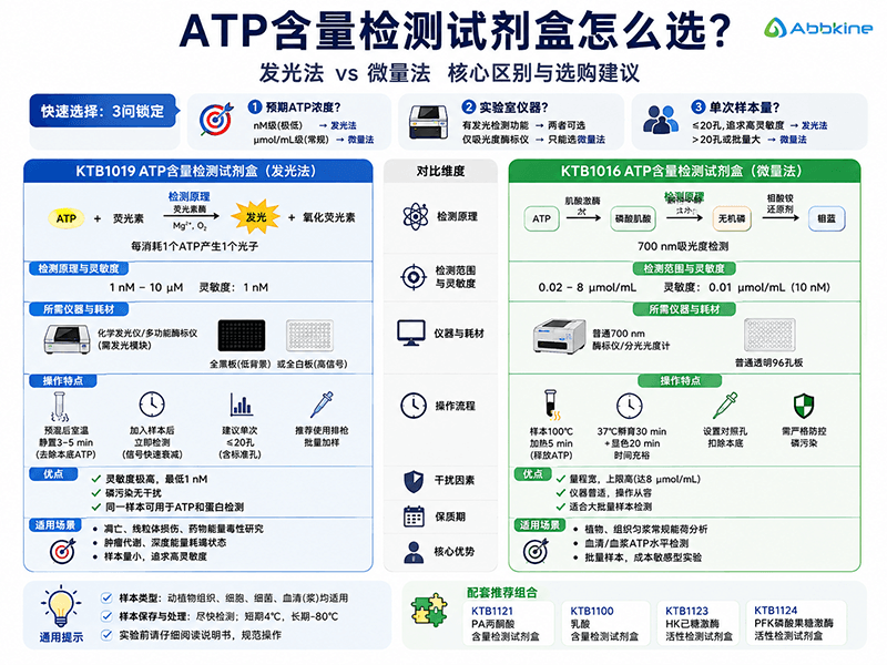 ATP含量检测试剂盒怎么选？发光法与微量法的核心区别及选购建议