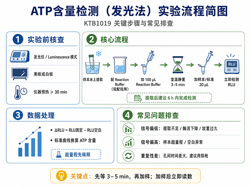 ​ATP含量检测试剂盒（发光法）完整实验方案与常见问题排查