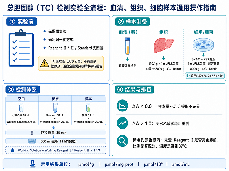 TC总胆固醇检测实验全流程：血清、组织、细胞样本通用操作指南