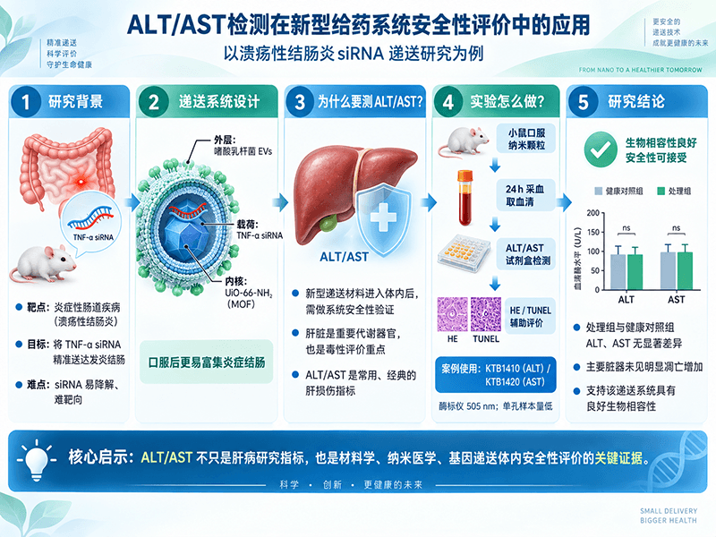 ALT/AST谷丙转氨酶检测在新型给药系统安全性评价中的应用：从一项溃疡性结肠炎siRNA递送研究谈起