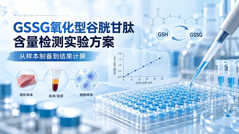 GSSG氧化型谷胱甘肽含量检测实验方案protocol：从样本制备到结果计算