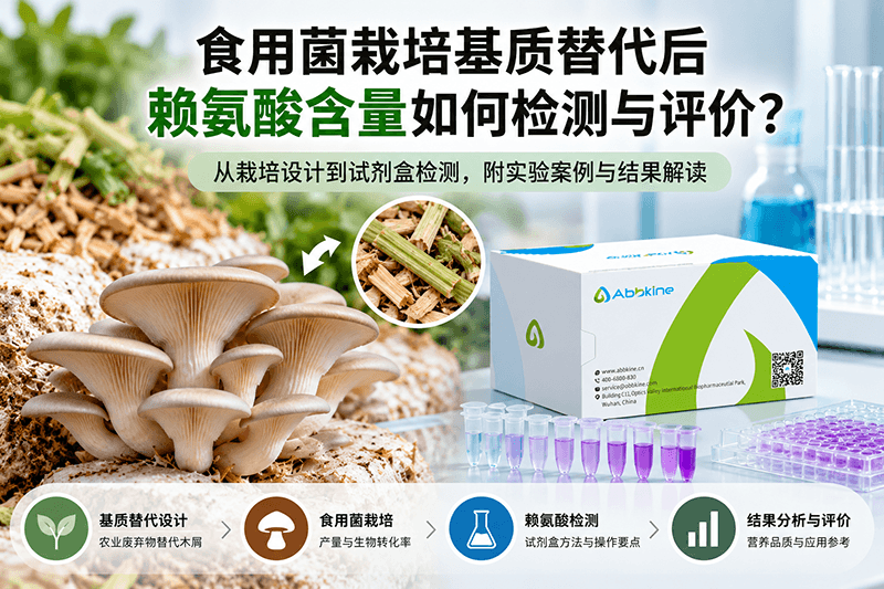 LYS赖氨酸含量检测在食用菌栽培与营养品质评价中的应用：取样、设计与结果解读