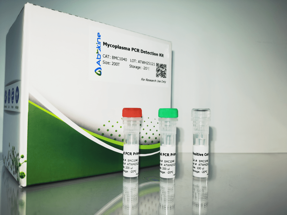 支原体PCR检测试剂盒