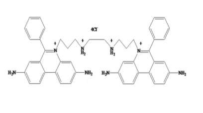 Ethidium Homodimer-1(EthD-1)