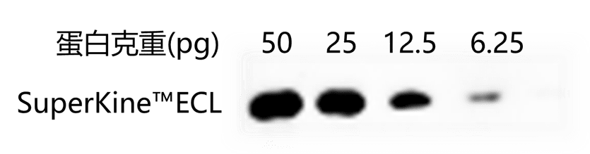 增强型ECL发光液(皮克级)-SuperKine™