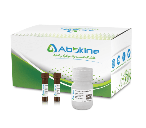 Annexin V-AbFluor™ 405 细胞凋亡检测试剂盒(蓝色荧光)