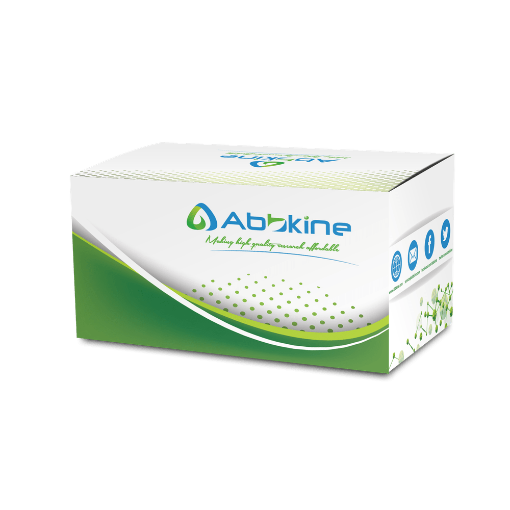 细胞增殖/毒性检测试剂盒(CCK-8法)