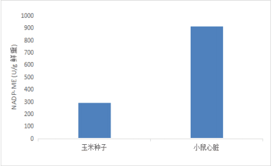 NADP苹果酸酶(NADP-ME)活性检测试剂盒(微量法)-CheKine™