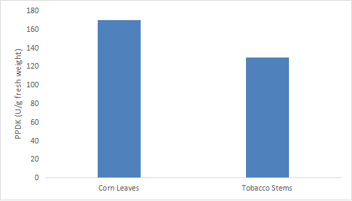 丙酮酸磷酸双激酶(PPDK)活性检测试剂盒(微量法)-CheKine™