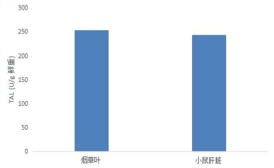 酪氨酸解氨酶(TAL)活性检测试剂盒(微量法)-CheKine™