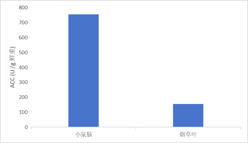 乙酰辅酶A羧化酶(ACC)活性检测试剂盒(微量法)-CheKine™