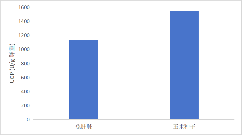 尿苷二磷酸葡萄糖焦磷酸化酶(UGP)活性检测试剂盒(微量法)-CheKine™