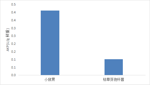 碱性蛋白酶(AKP)活性检测试剂盒(微量法)-CheKine™