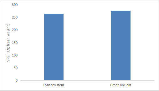 蔗糖磷酸合成酶(SPS)活性检测试剂盒(微量法)-CheKine™