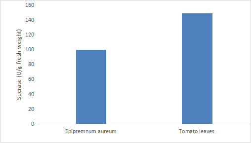 蔗糖酶活性检测试剂盒(微量法)-CheKine™