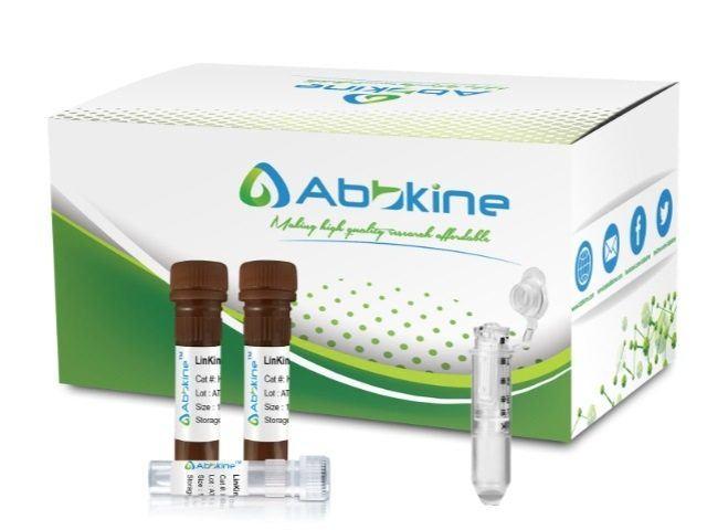 680偶联试剂盒(尤其适合分子量6-20 KD样本)-LinKine™-AbFluor™