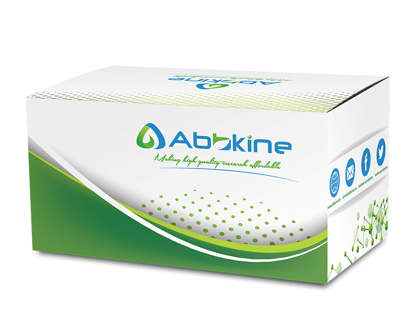 土壤酸性蛋白酶(S-ACPT)活性检测试剂盒(微量法)-CheKine™